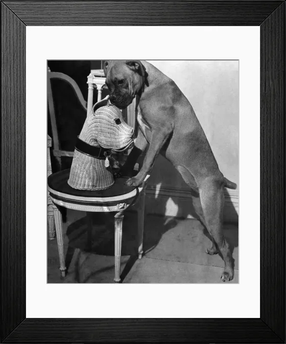 Framed Print : Among famed Christian Diors Christmas gift novelties are beautifully made leather Framed Print : Among famed Christian Diors Christmas gift novelties are beautifully made leather