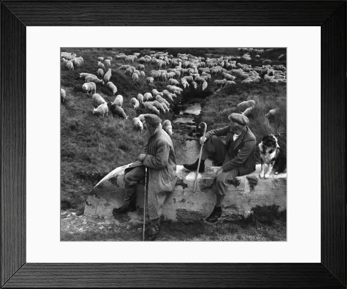 Framed Print : The village of Lairg, Sutherland wakes up for a day to count sheep Framed Print : The village of Lairg, Sutherland wakes up for a day to count sheep