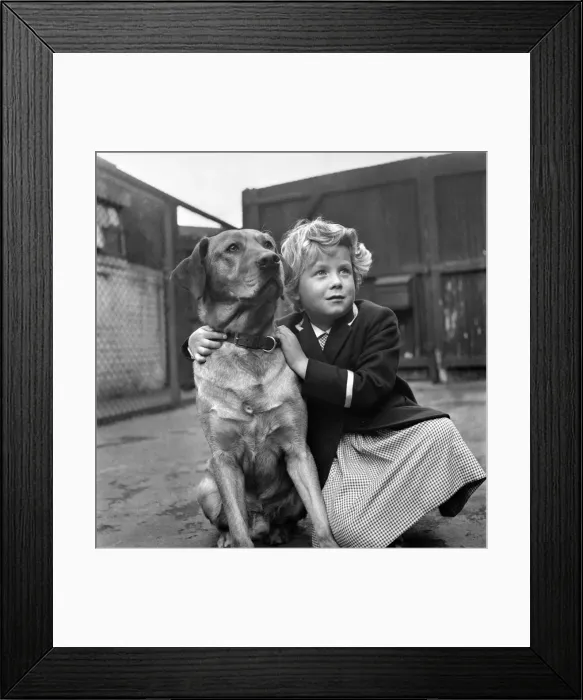 Framed Print : A small girl is reunited with her lost dog at the RSPCA kennels. June 1960 M4456-001
