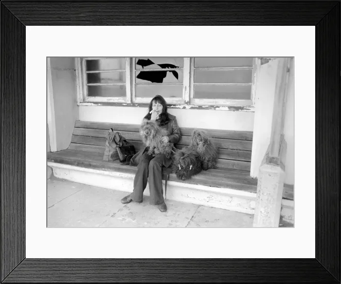 Framed Print : Dogs evicted. Mrs. Fay Hughes. January 1975 75-00437 Framed Print : Dogs evicted. Mrs. Fay Hughes. January 1975 75-00437