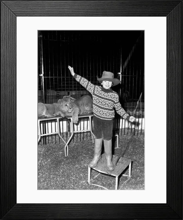 Framed Print : 7 years old Paul Colins, seen here in the circus ring lion taming