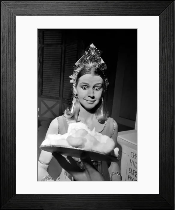 Framed Print : Sara Wade about to have a custard pie thrown at her. January 1970