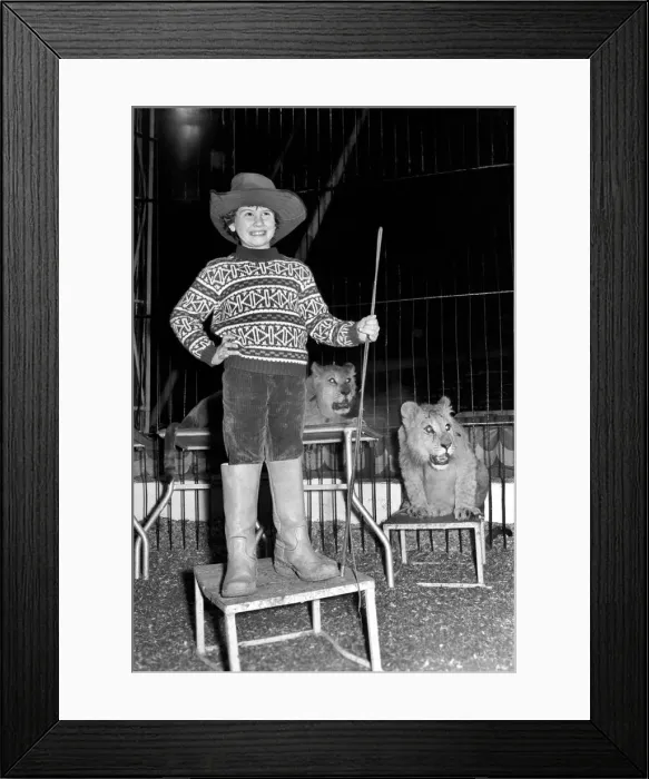 Framed Print : 7 years old Paul Colins, seen here in the circus ring lion taming Framed Print : 7 years old Paul Colins, seen here in the circus ring lion taming