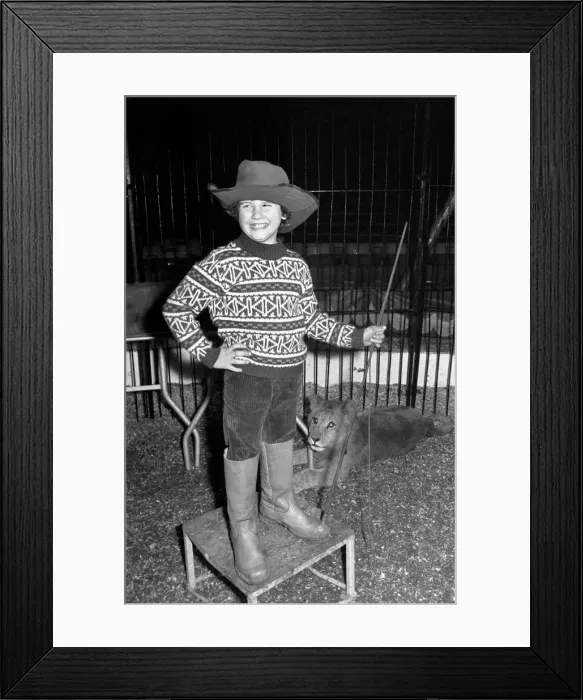 Framed Print : 7 years old Paul Colins, seen here in the circus ring lion taming Framed Print : 7 years old Paul Colins, seen here in the circus ring lion taming