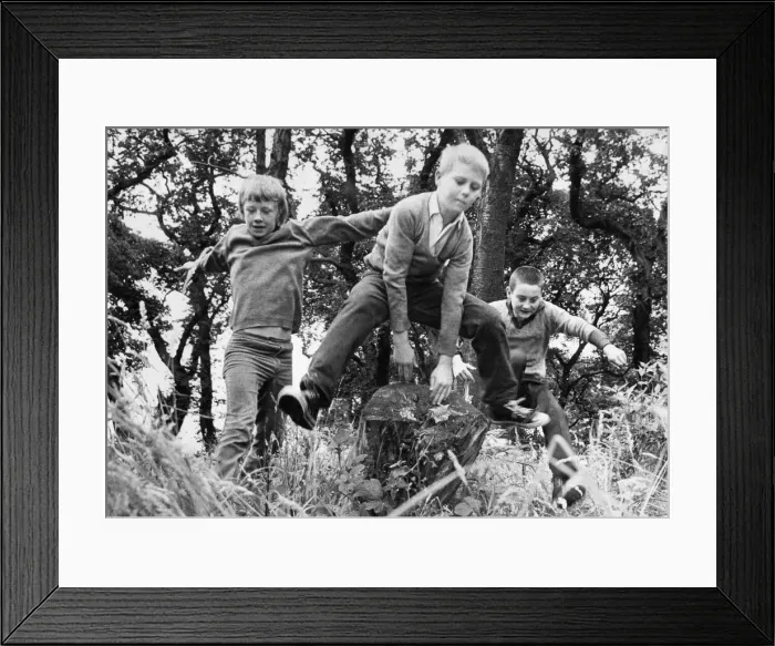 Framed Print : Children enjoy a day out in the woods playing leapfrog Framed Print : Children enjoy a day out in the woods playing leapfrog