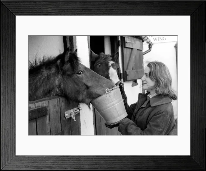 Framed Print : Mrs. Jill Gibbs looking at two ponies. January 1975 75-00376-002