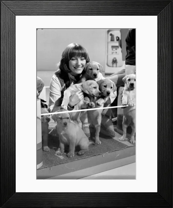 Framed Print : Blue Peter appeal for blind smashes through target. Lesley Judd Framed Print : Blue Peter appeal for blind smashes through target. Lesley Judd