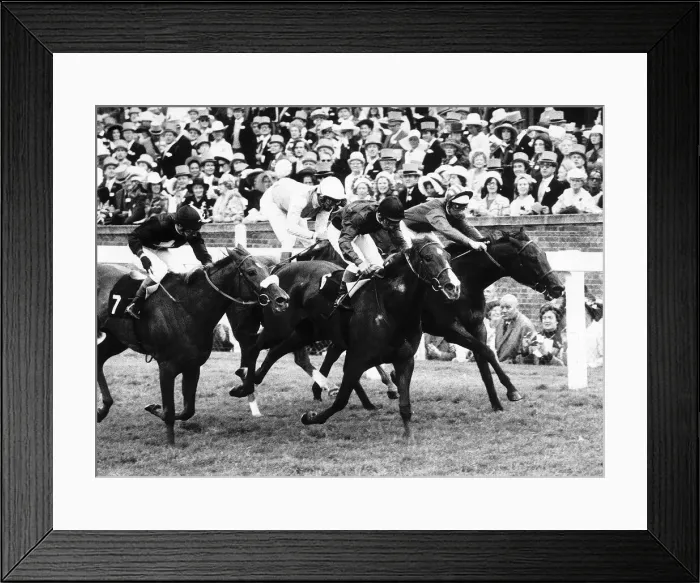 Framed Print : Parsiomony wins from Pearl Star & Princess Bonita who dead heated for 2nd place Framed Print : Parsiomony wins from Pearl Star & Princess Bonita who dead heated for 2nd place