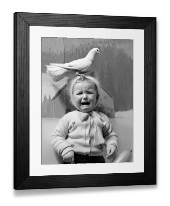 Framed Print : A little girl in a Manchester department store is upset by the doves in Santa