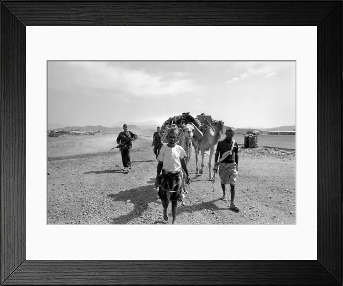 Framed Print : British Army in Aden with locals and a camel. April 1966 W4001b-006 Framed Print : British Army in Aden with locals and a camel. April 1966 W4001b-006