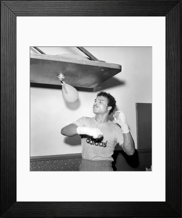 Framed Print : John Conteh (Boxer) in action training. August 1974 S74-4883 Framed Print : John Conteh (Boxer) in action training. August 1974 S74-4883