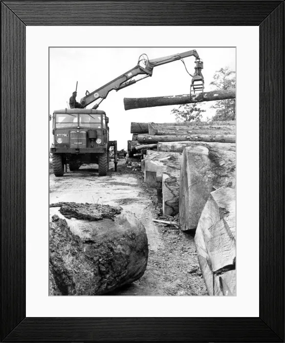 Framed Print : Picking up a log like a father, the specialised mobile crane Framed Print : Picking up a log like a father, the specialised mobile crane