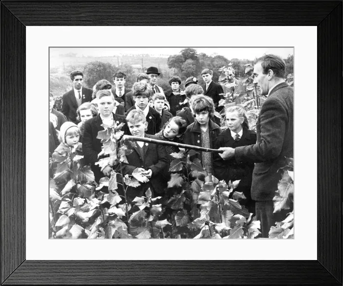 Framed Print : These children from the Tree Lovers League visited the Forestry Commission nursery
