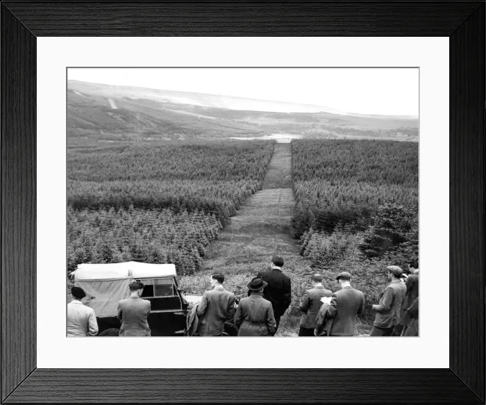 Framed Print : An impressive view of part of aone of Northumbnerland state forests looking over Framed Print : An impressive view of part of aone of Northumbnerland state forests looking over