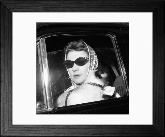 Framed Print : Actress Vivien Leigh inside a car in London holding a cat June 1960 Framed Print : Actress Vivien Leigh inside a car in London holding a cat June 1960
