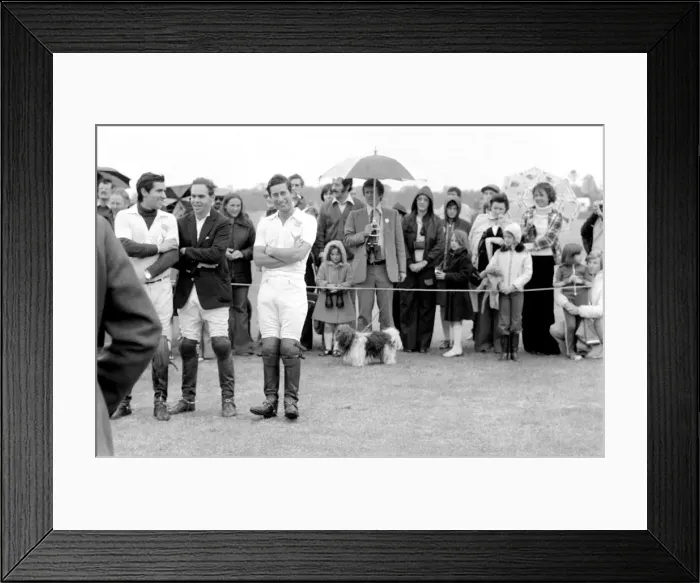 Framed Print : Prince Charles playing polo. June 1977 R77-3218-017 Framed Print : Prince Charles playing polo. June 1977 R77-3218-017