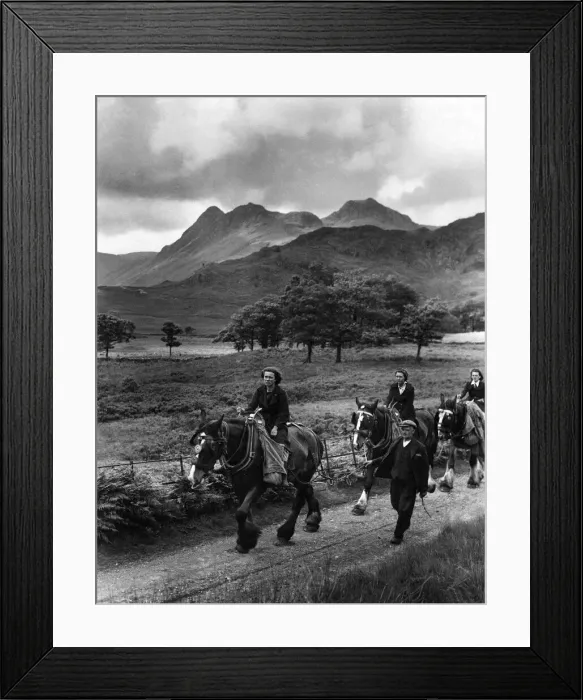 Framed Print : Land army girls on horseback in the British countryside. Circa 1943 P004473 Framed Print : Land army girls on horseback in the British countryside. Circa 1943 P004473