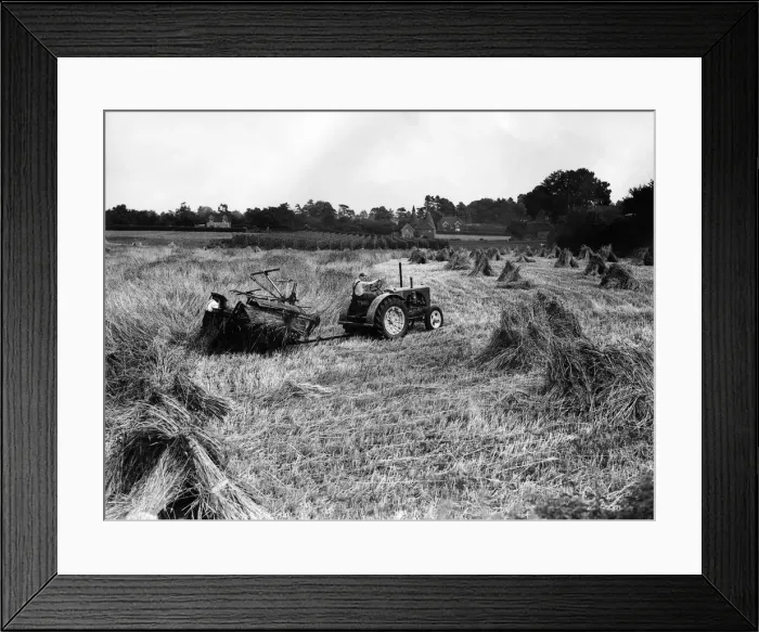 Framed Print : Tractors at work during a harvesting scene in England. Circa 1970 P004513 Framed Print : Tractors at work during a harvesting scene in England. Circa 1970 P004513