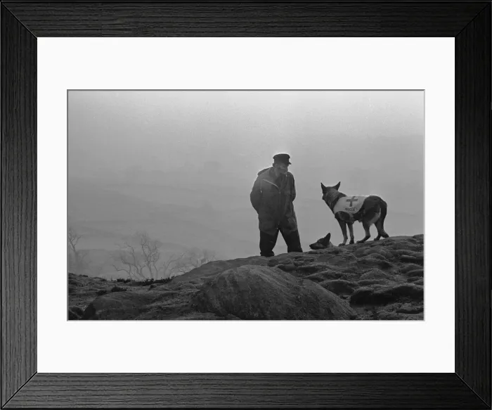 Framed Print : Mountain Rescue Dog Team seen here high on the Cumbrian hills. Circa 1975 Framed Print : Mountain Rescue Dog Team seen here high on the Cumbrian hills. Circa 1975
