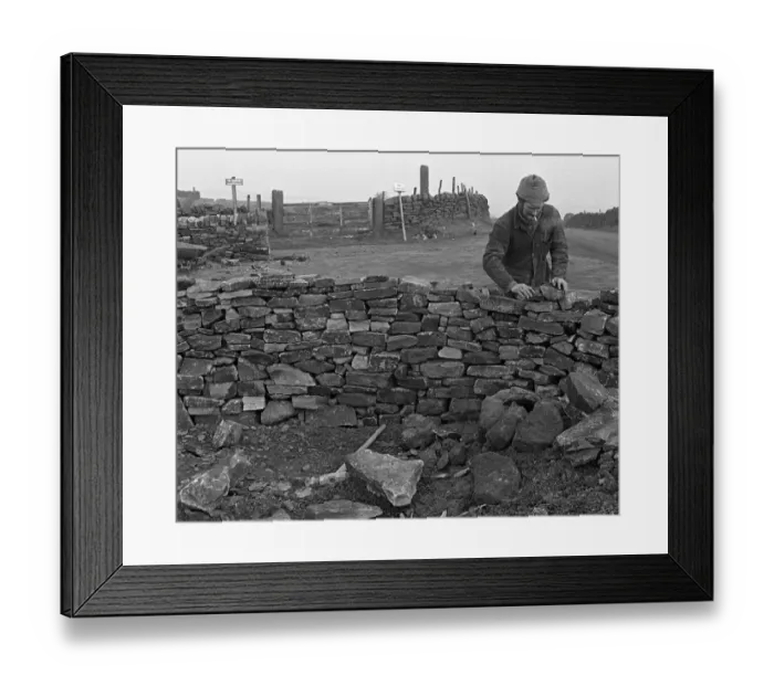 Framed Print : Dry stone walling high on the Cumbria fells Circa 1975 Reve 3731 Framed Print : Dry stone walling high on the Cumbria fells Circa 1975 Reve 3731