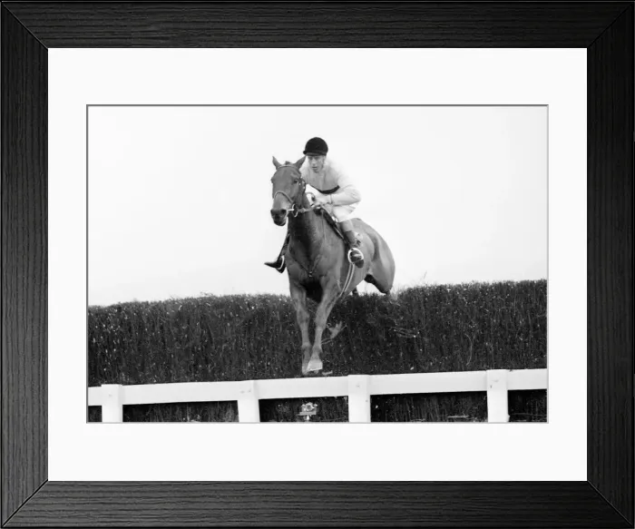 Framed Print : Arkle racehorse wins the Gold Cup in 1966 Jumps fence