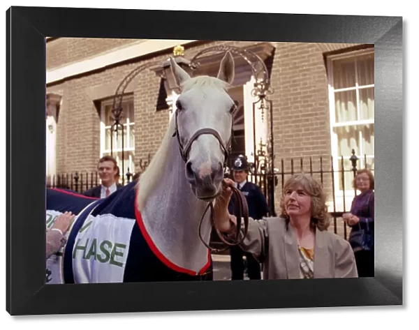 Desert Orchid Racehorse - June 1991 outside 10 Downing Street. 29  /  06  /  1991