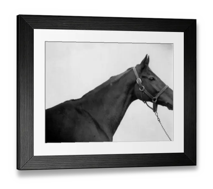 Framed Print : Punters Club offer of Red Rum Mirror colour Nov 1974 picture to the public of