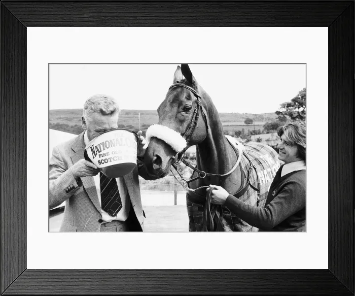 Framed Print : Grand National winner Red Rum with trainer Ginger McCain drinking from bucket 26th Framed Print : Grand National winner Red Rum with trainer Ginger McCain drinking from bucket 26th
