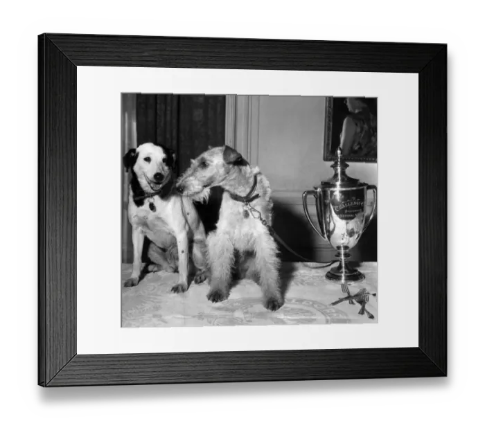 Framed Print : Thanks, pal!'... Lady'(left) with Cheeky Framed Print : Thanks, pal!'... Lady'(left) with Cheeky