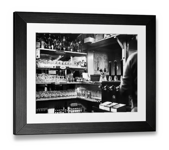 Framed Print : Rex settles down in the bar of the Little Angel Inn, but he doesn t touch a drop