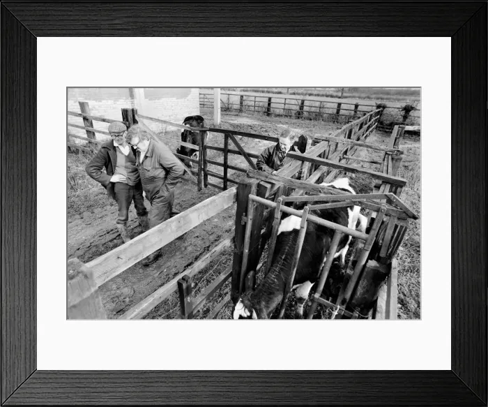 Framed Print : Thirsk Racing Stables: Mr. Arthur J. Herriot Vet at Thirsk Racing Stables