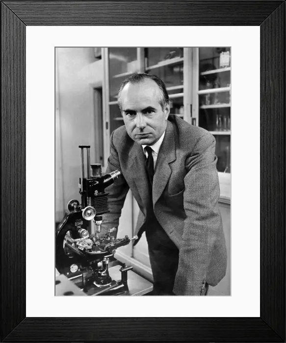 Framed Print : Professor Andrew Fielding Huxley of the University College who shares the Nobel Prize Framed Print : Professor Andrew Fielding Huxley of the University College who shares the Nobel Prize