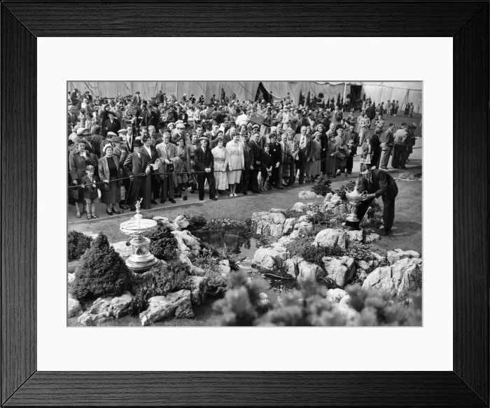 Framed Print : Southport Flower Show, first day, to-day, at Victoria Park, Southport Framed Print : Southport Flower Show, first day, to-day, at Victoria Park, Southport