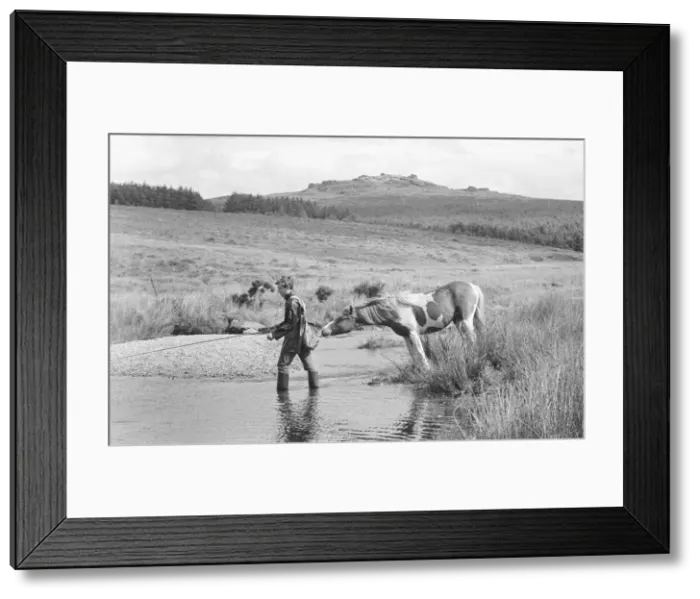 Framed Print : Tip for all anglers... the ponies are biting really well Framed Print : Tip for all anglers... the ponies are biting really well