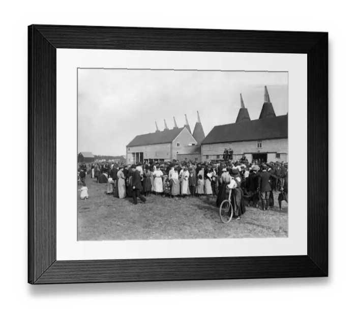 Framed Print : Hop-pickers at Paddock Wood Kent. August 1908