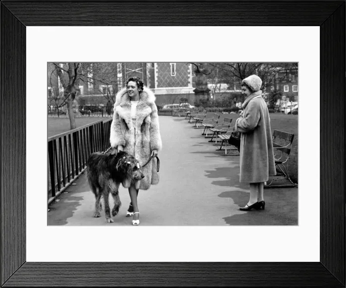 Framed Print : Girl and Dog in Curlers. Model Victoria Burgyne and Irish Wolf Hound Jasper Framed Print : Girl and Dog in Curlers. Model Victoria Burgyne and Irish Wolf Hound Jasper