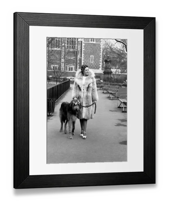 Framed Print : Girl and Dog in Curlers. Model Victoria Burgyne and Irish Wolf Hound Jasper