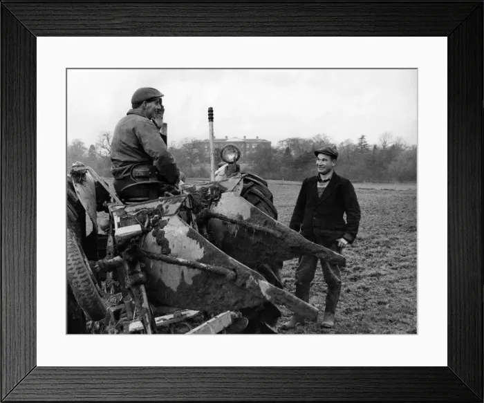 Framed Print : Agriculture: Farming: Ploughing Mr. Giles Tedstone (31) - on tractor-manager of Framed Print : Agriculture: Farming: Ploughing Mr. Giles Tedstone (31) - on tractor-manager of