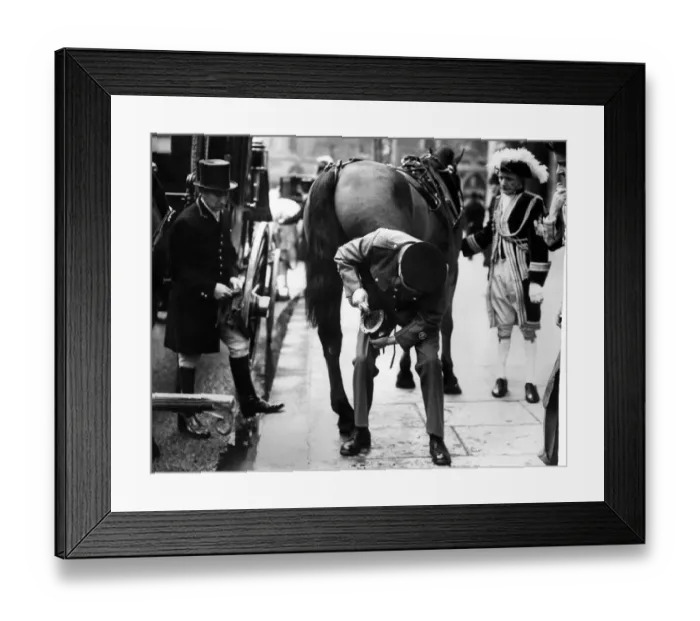 Framed Print : Lord Mayors Show Incident outside the Law Courts: Blossom