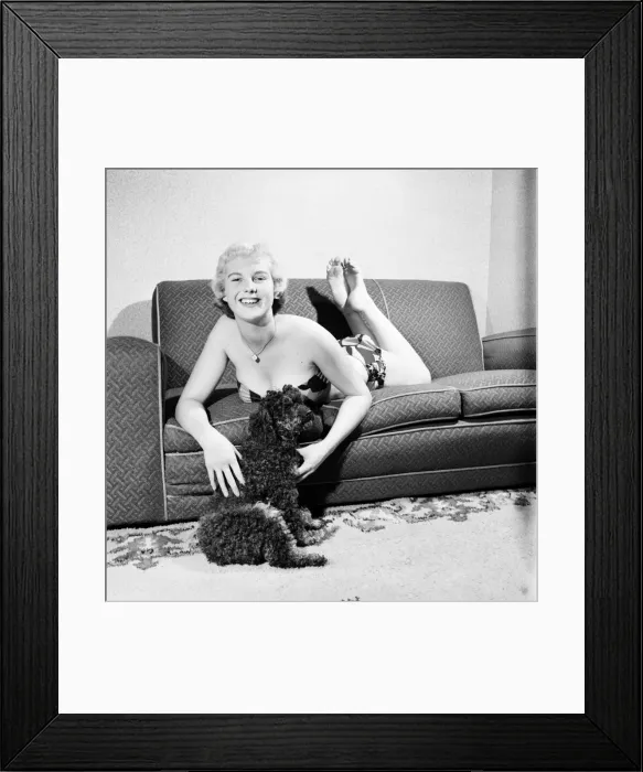 Framed Print : Pat Bolton seen here with her pet poodle dog. 1964 E298-009 Framed Print : Pat Bolton seen here with her pet poodle dog. 1964 E298-009