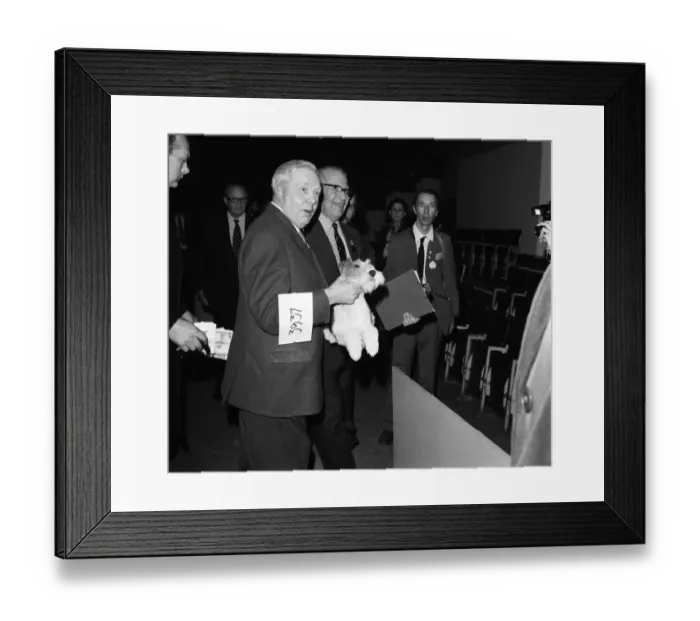 Framed Print : Crufts. Dog winner. February 1975 75-00769-003 Framed Print : Crufts. Dog winner. February 1975 75-00769-003