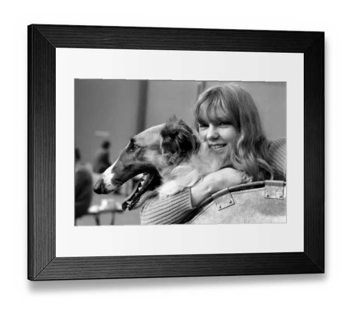 Framed Print : Olympia: Crufts Dog Snow. February 1975 75-00744-001