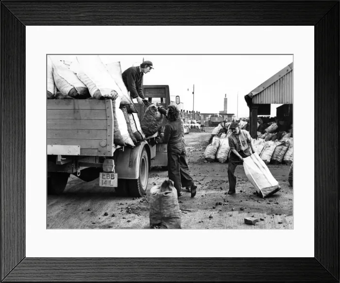 Framed Print : North East coal company men load up a wagon with coal and coke in their yard next to