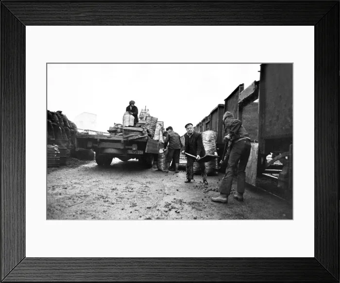 Framed Print : Coalmen filling up their sacks ready to do their rounds Framed Print : Coalmen filling up their sacks ready to do their rounds