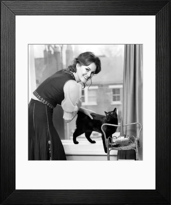Framed Print : Healers Feature: Anna MaCloud: Woman with cat. February 1975 75-00711-004 Framed Print : Healers Feature: Anna MaCloud: Woman with cat. February 1975 75-00711-004