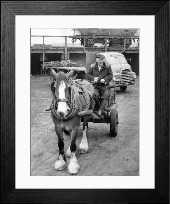 Framed Print : Coal merchant dick Walker still delivers his coal by horse and cart
