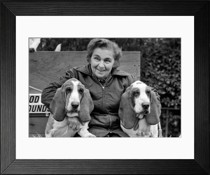 Framed Print : Mrs. Joan Walker and Dogs: Mrs. Joan Walker of Reading has got a record at Cruft Framed Print : Mrs. Joan Walker and Dogs: Mrs. Joan Walker of Reading has got a record at Cruft
