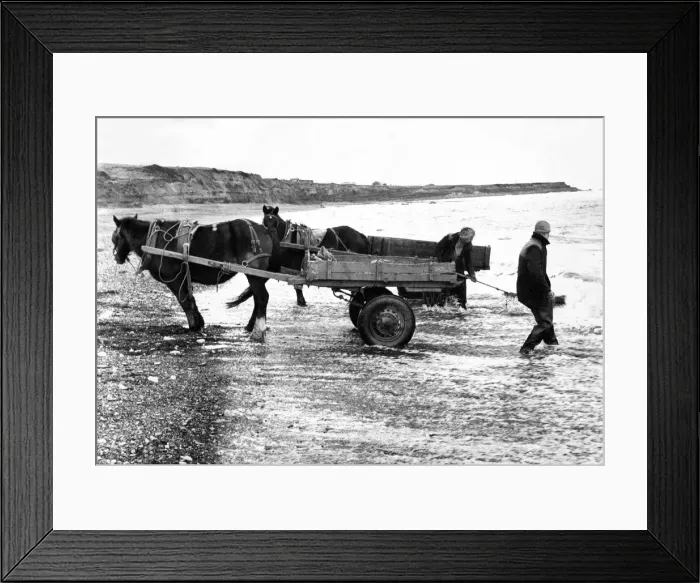 Framed Print : Seacoal gatherers at work on a Northumberland beach Framed Print : Seacoal gatherers at work on a Northumberland beach