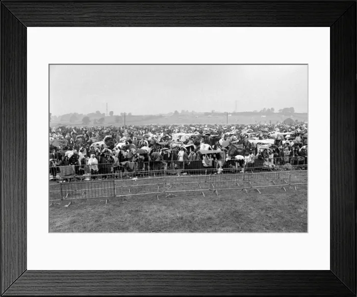Framed Print : Music Fans in the rain at the Bath Festival of Blues & Progressive Music