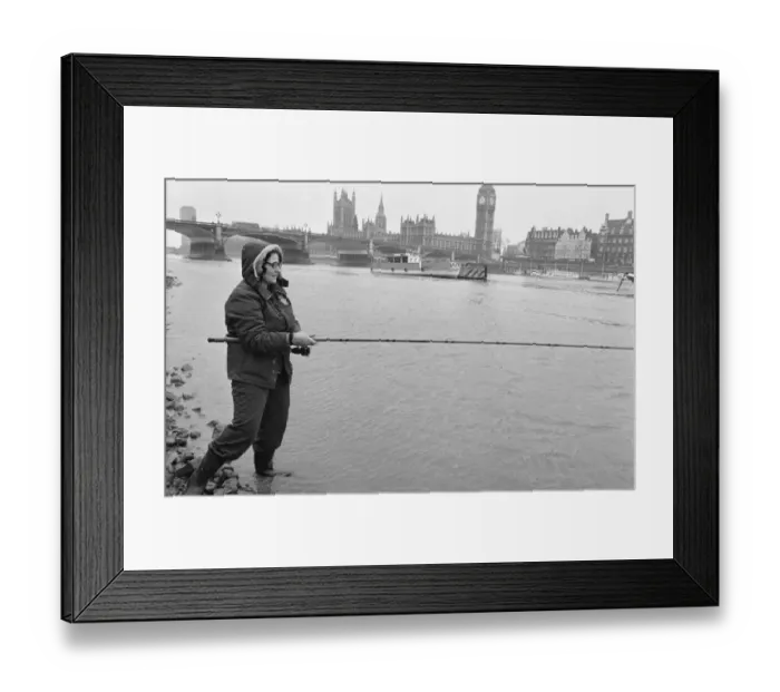 Framed Print : Catch of the day. Old man Thames gave a rich harvest when fishermen at the Westminster